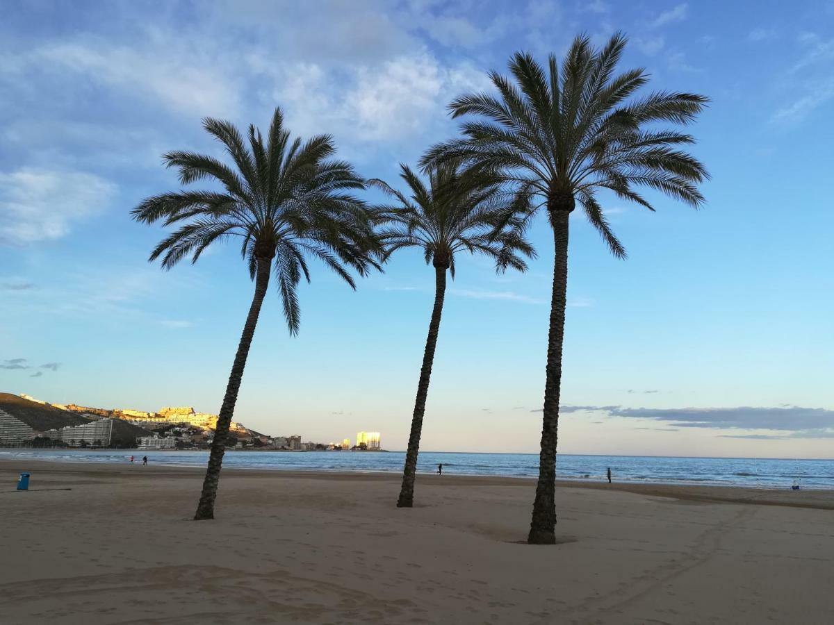 Apartamento Florazar 2, 8ºc Cullera Extérieur photo
